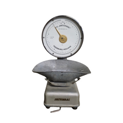 Scale